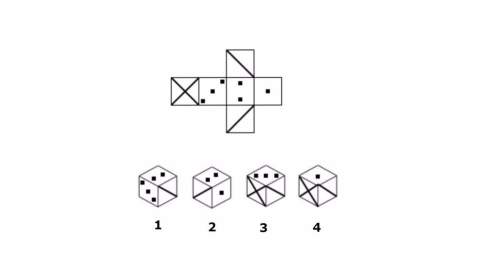Which dice is represented in the grid below?