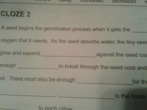 When does a seed begins the germination process
