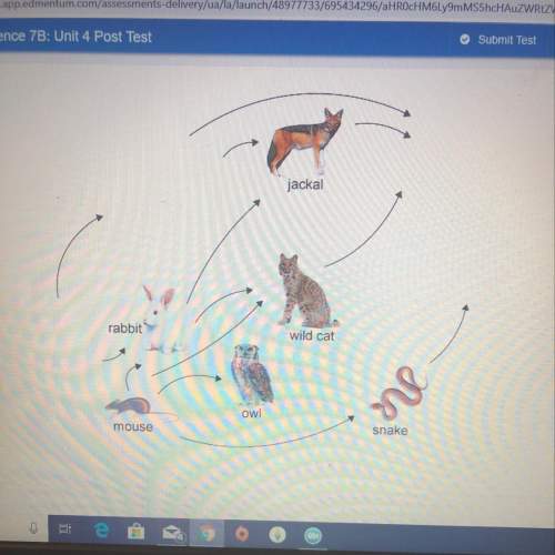 Place the organism in the correct location in this food web  a) goat b) lion