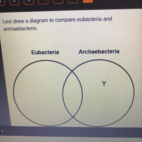 Lexi drew a diagram to compare eubacteria and archaebacteria. which label belongs in the area marked