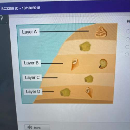 which rock layer contains the oldest fossil?  layer a layer b layer c
