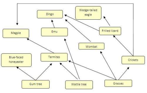 Which organism in the food web below gets energy directly from ants?