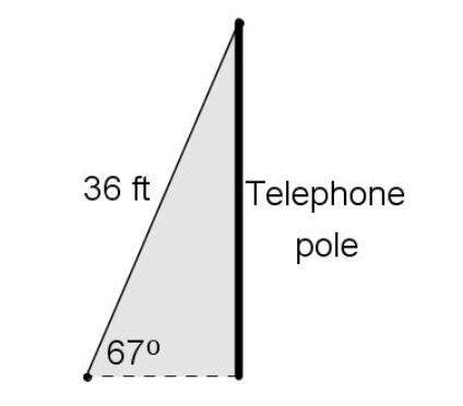 The telephone pole is feet tall. (round to the nearest whole number) 14 ft&lt;