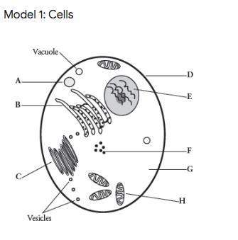 *9th grade* label parts of a cell ( meh)