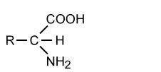 Examine the general structure of a molecule. which functional groups are in