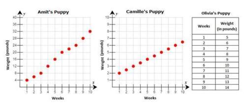 Does the data for camille’s puppy show a function? why or why not?