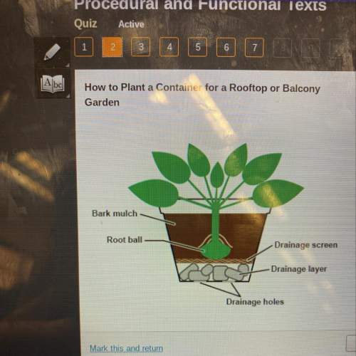 Which revision is best to make the diagram more ?  an illustrated list of gardening tools