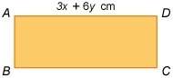 I'll give brainliest ! find the width of rectangle if its area is (3x^2 + 9xy + 6y^2) square centi
