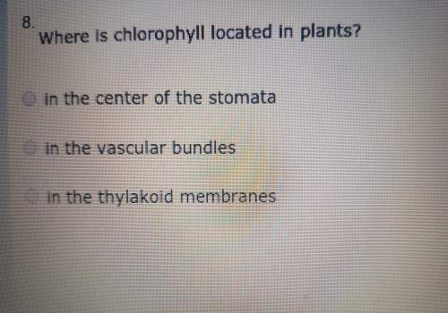 Where is chlorophyll located in plants