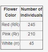 in a hypothetical population of plants, flower color is determined by a single gene with two