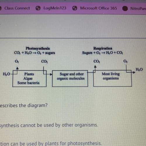 Which statement correctly describes the diagram?  a) the products of photosynthesis cannot be