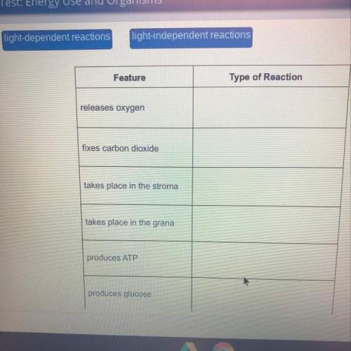 Identify which type of reaction the feature occurs in.