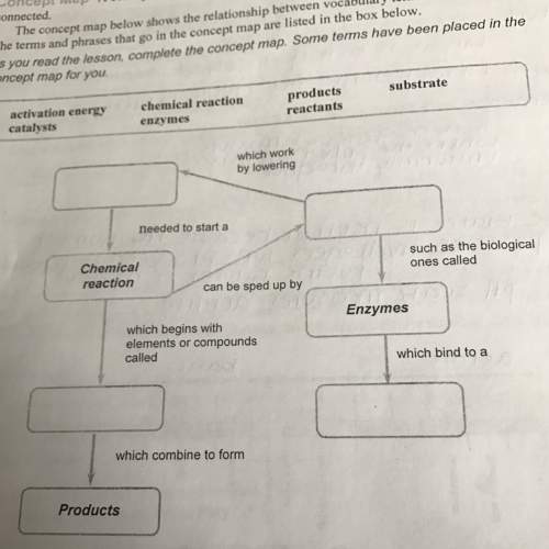 What goes where in this concept map?