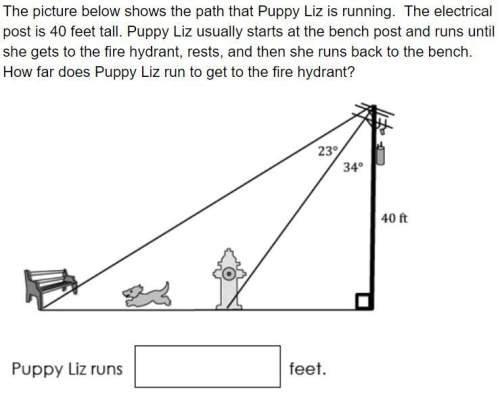 The picture below shows the path that puppy liz is running. the electrical post is 40 feet tall. pup