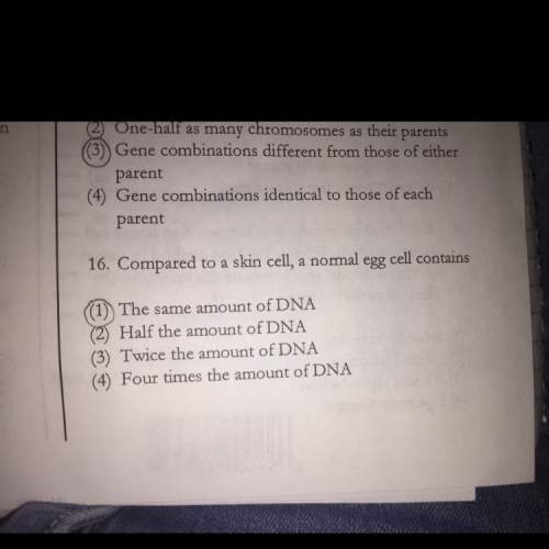 Why is 2 the correct answer to number 16 ? explain why and answer this