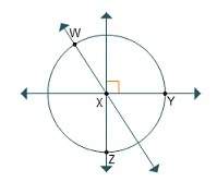 Which line segment is drawn in the figure?  a.yz b.wy c.xz d.wz&lt;