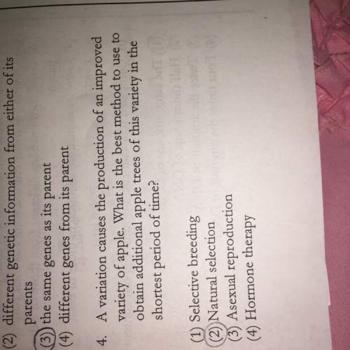 Why is 3 the correct answer to number 4 ? explain why and answer this
