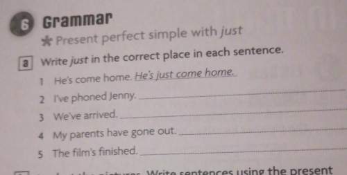 6grammar* present perfect simple with justa write just in the correct place in each sent