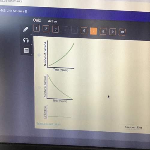Which graph best represent the general rate at which bacteria reproduce? (srry for the bad picture)&lt;
