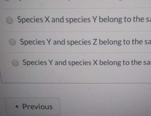 Species x and species y belong to the same domain. species y and species z belong to the same kingdo
