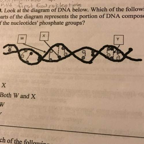 Which of the following parts of the diagram represents the portion of dna composed of th