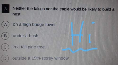 Neither the falcon nor the eagle would be likely to build a nest -a) on a high bridge to