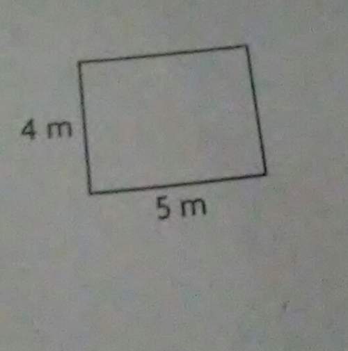 What is the perimeter of the rectangle below?
