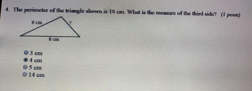 Check my answer. the perimeter of the triangle shown is 18 cm. what is the measure of the third side