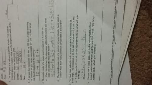 Need on the two questions the are blank