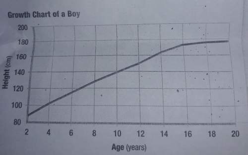 At which points in this graph is bone growing at the fastest rate