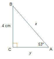 Triangle abc is a right triangle and sin(53o) = . solve for x and round to the nearest whole number.