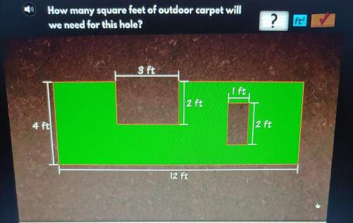 How many square feet of outdoor carpet will we need for this hole?