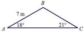 Find the length of bc round to the nearest hundredth. a. 0.02 m b. 6.0
