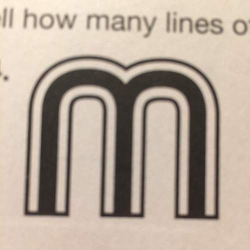 How many lines of symmetry dose this figure have?