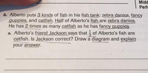 Middperf3. alberto puts 3 kinds of fish in his fish tank: zebra danios, fancyguppies, and catfish.