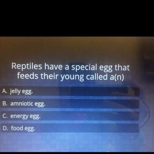 Reptiles have a special egg that feeds their young called a(n)?