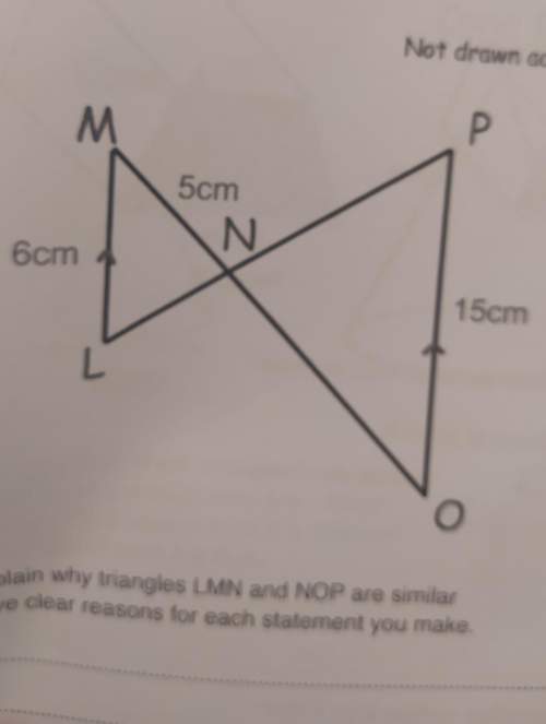 Explain why triangles lmn and nop are similarwork out the length of mo