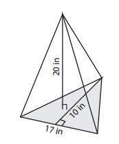 Find the volume of the triangular pyramid to the nearest whole number. a) 340 in3  b) 56