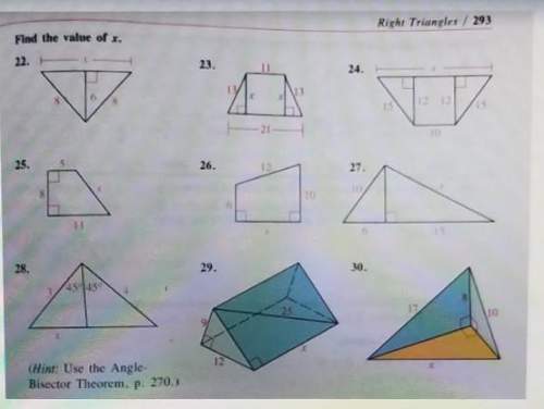 Pythagorean theorem. i just need 22, 27 and 28