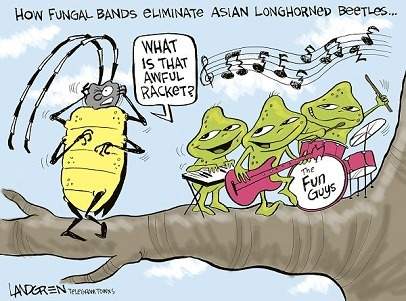 What is the cartoonist's purpose in this cartoon?  to convince people that fungal bands