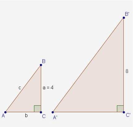 The diagram shows the lengths of corresponding sides of similar triangles a'b'c' and abc. which expr