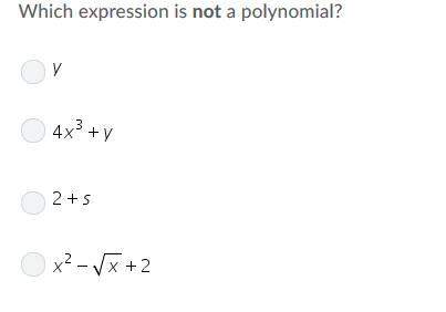 Which expression is not a polynomial