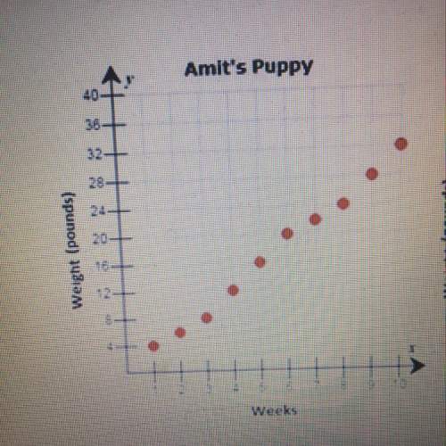 10 points is the relationship for amit’s puppy’s weight in terms of time linear or nonlinear? exp