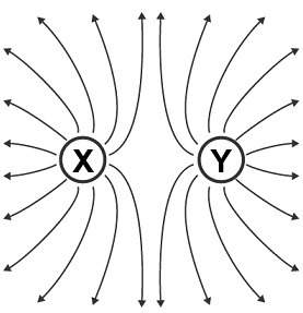The diagram shows two charged objects, x and y. based on the field lines, what are