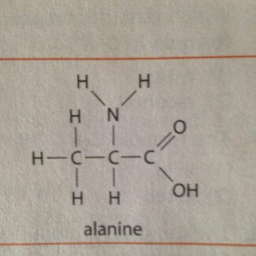 Pic provided: which part is the amine?
