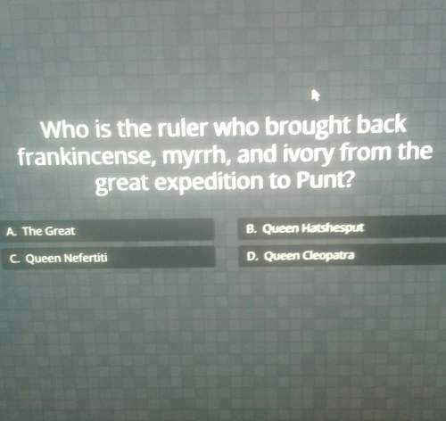 Who is the ruler who brought back frankincense, myrrh and ivory from the great expedition to punt?
