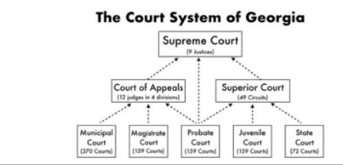 Which statement is validated by this graph? a) state courts are appellate courts. b) state courts a