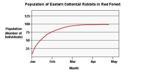 In january, a small number of eastern cottontail rabbits were introduced into red forest. the popula