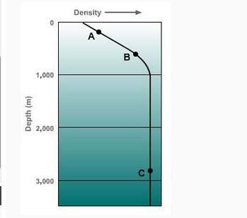 According to the density profile shown here, at which depth would you find the coolest, saltiest wat