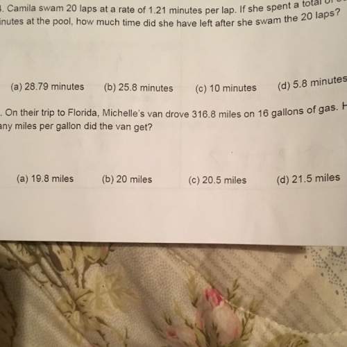 On their trip to florida, michelle's van drove 316.8 miles on 16 gallons of gas. how many miles per